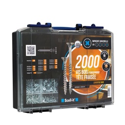 [10875.020008] Coffret vis à bois Scell-it Ac Zn (2000 pcs)